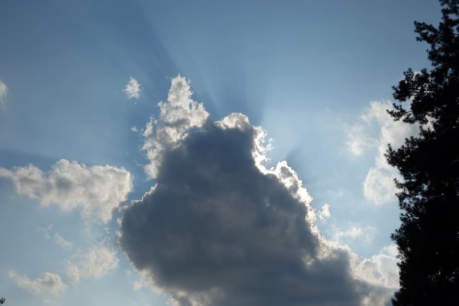 cloud, thunderstorm, cumulus, cloud formation, cloud - sky HD wallpaper