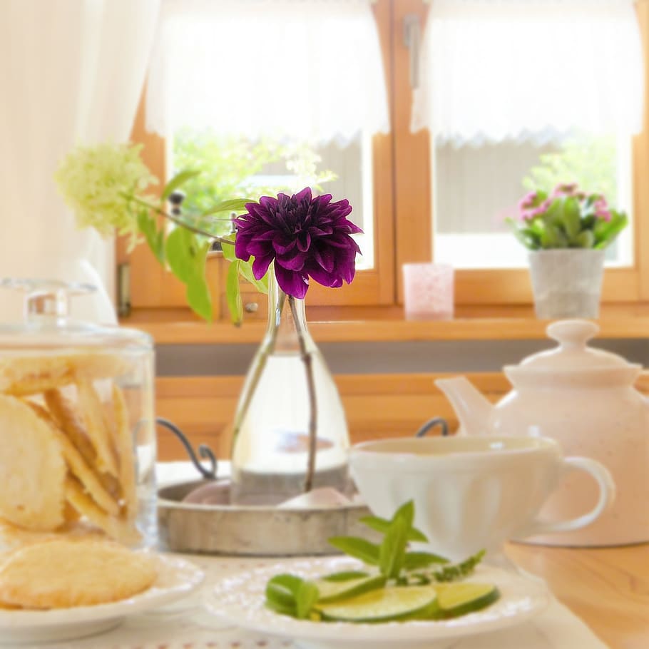 purple dahlia flower in clear glass vase on table, covered, teapot