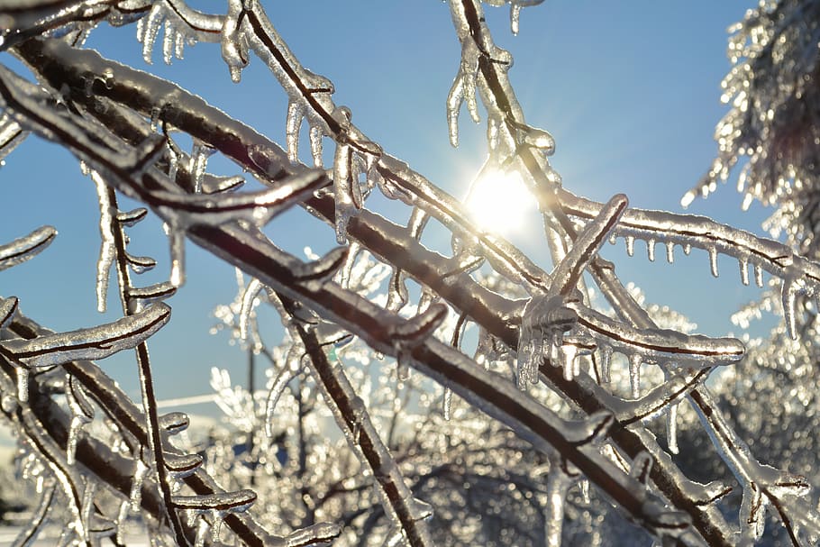 sun, winter, branch, ice, canada, snow, winter landscape, sky HD wallpaper