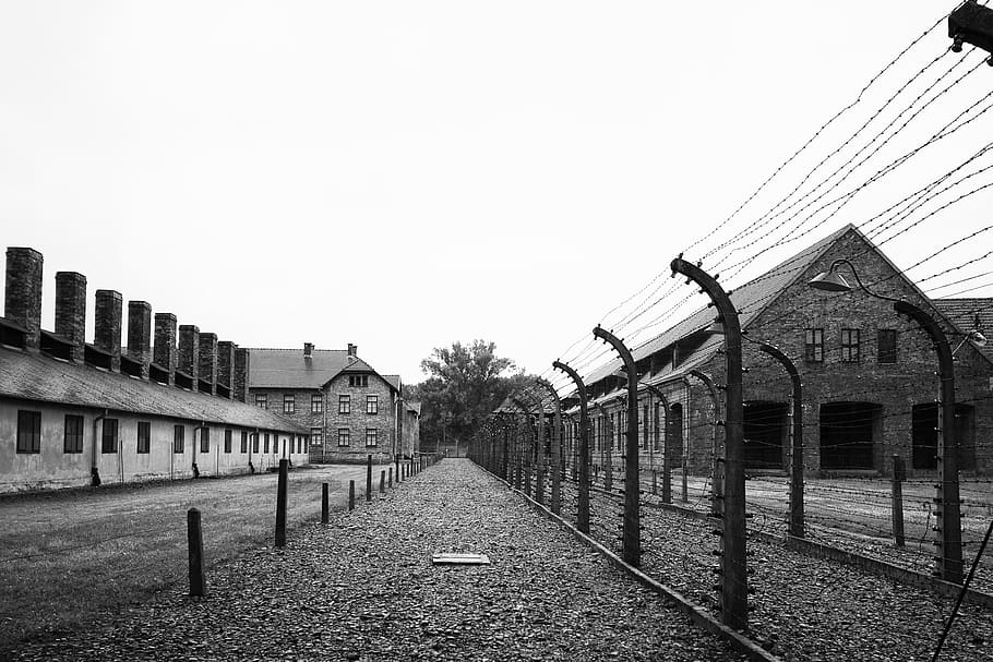 war, fence, military arm, krakow, poland, concentration camp, HD wallpaper