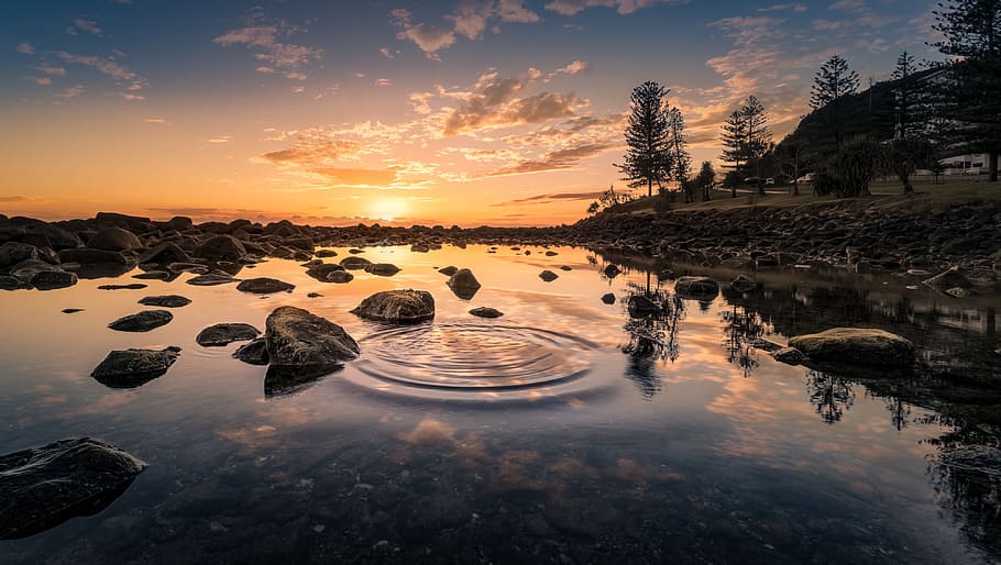 river and sunset photo shot, landscape, reflection, water, forest HD wallpaper
