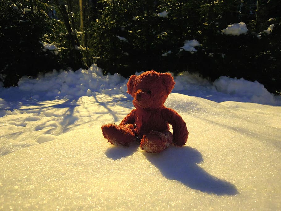 Teddy Bear, Red, Snow, Winter, Frost, nature, snowy, toy, lonely HD wallpaper