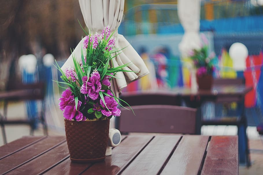 Flowers, Café, Pot, Spring, may, focus on foreground, day HD wallpaper