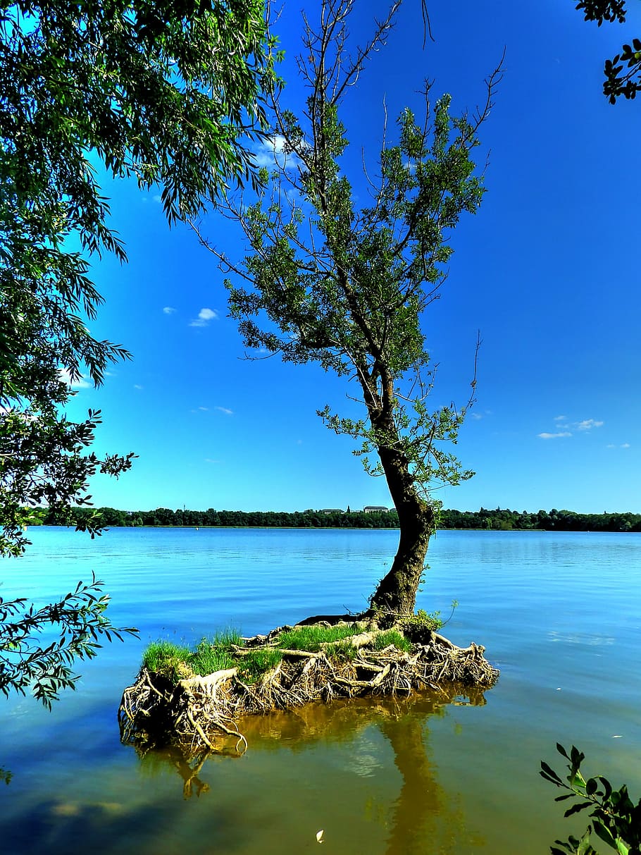 lake, trees, landscape, water, france, summer, reflections HD wallpaper