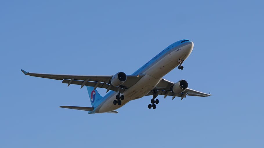 aerial photography of blue and white airplane under blue sky HD wallpaper
