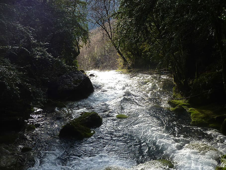 River, Picture, Rock, forest, nature, waterfall, no people HD wallpaper