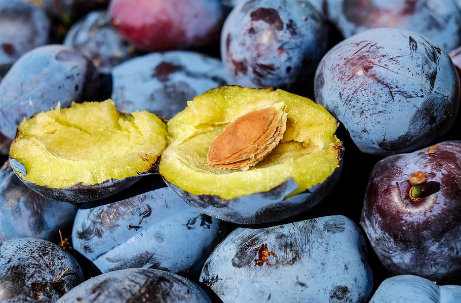 photo of blueberries, plum, fruit, cut in half, stone, plum stone HD wallpaper