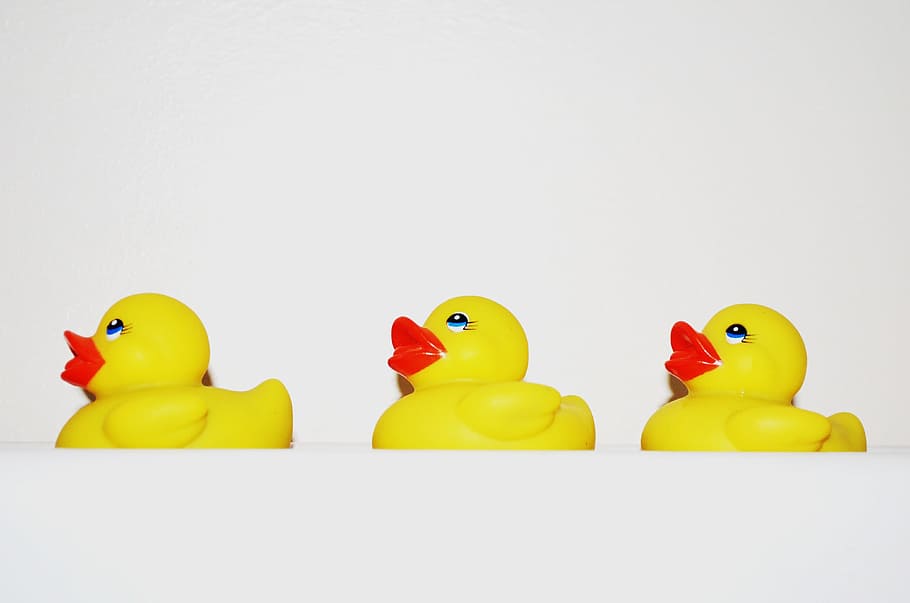 Ducks, Plastic, Toy, Children, Yellow, swimming, entertainment HD wallpaper