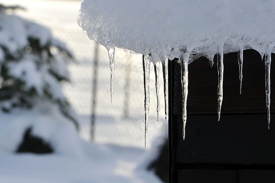 snow, icicle, winter, ice, cold, frozen, drip, wintry, cold temperature HD wallpaper