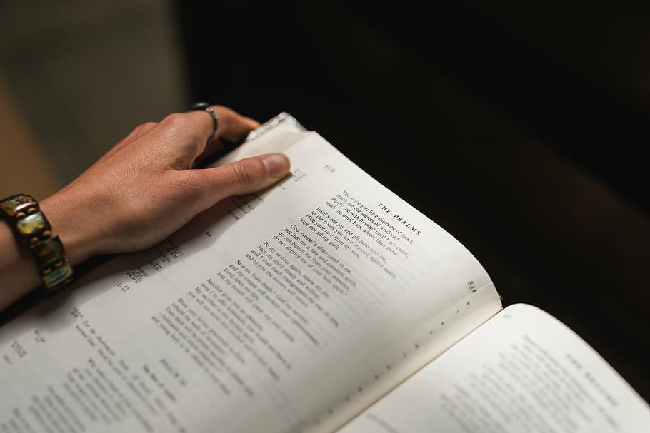 person holding unfold book, selective, focus, photography, educational HD wallpaper