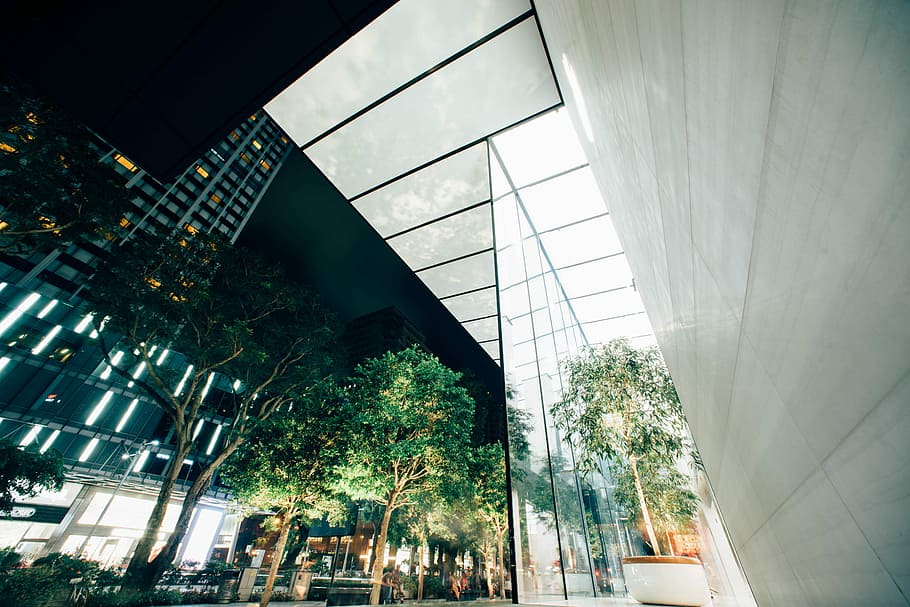 worm's eye view of glass building, low angle photography of building near trees HD wallpaper