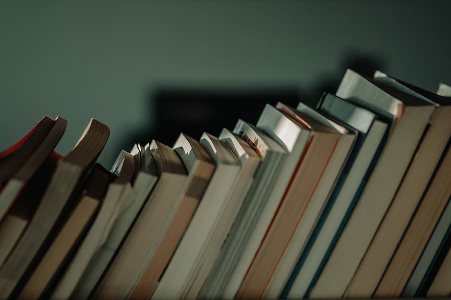 assorted books, assorted reading book lot photography, library HD wallpaper