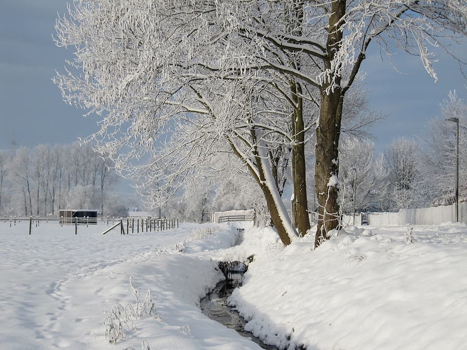 winter, bach, wintry, snow, cold, snowy, water running, cold temperature HD wallpaper