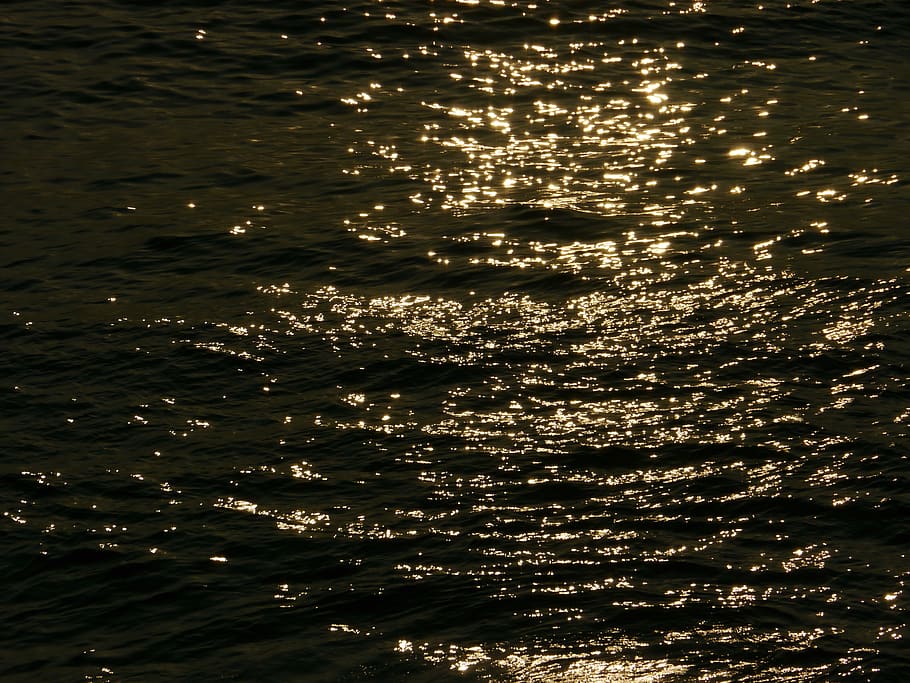 sea, light, wave, water, waterfront, sunlight, nature, no people HD wallpaper