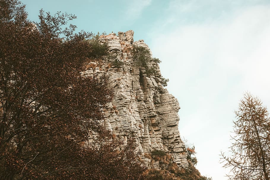 brown mountain near trees, trees near brown cliff, rock, forest HD wallpaper