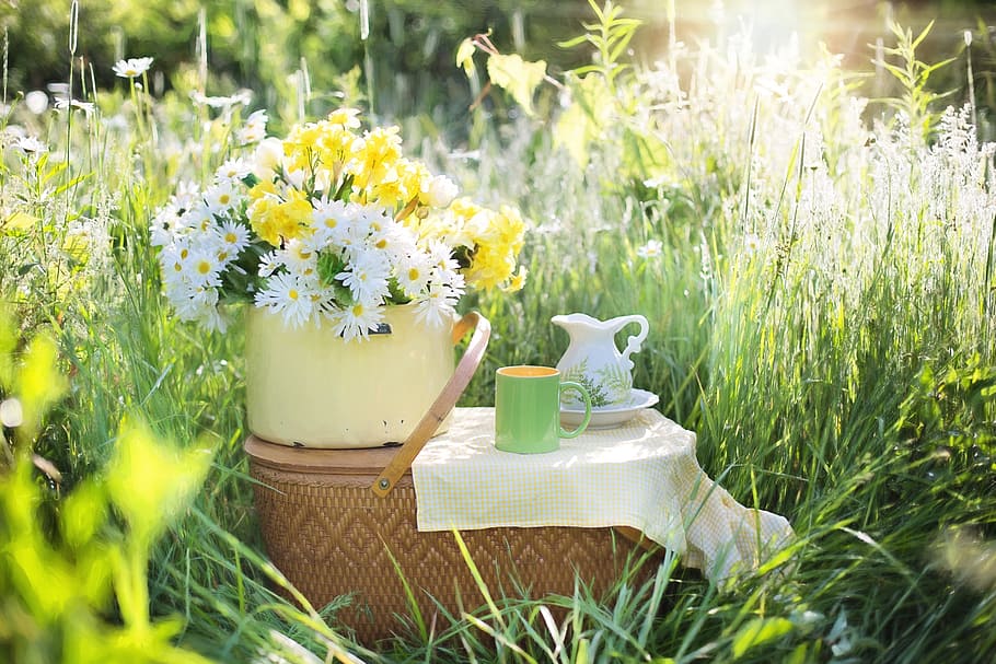 photography of Daisy flowers on white ceramic container and wicker brown picnic basket