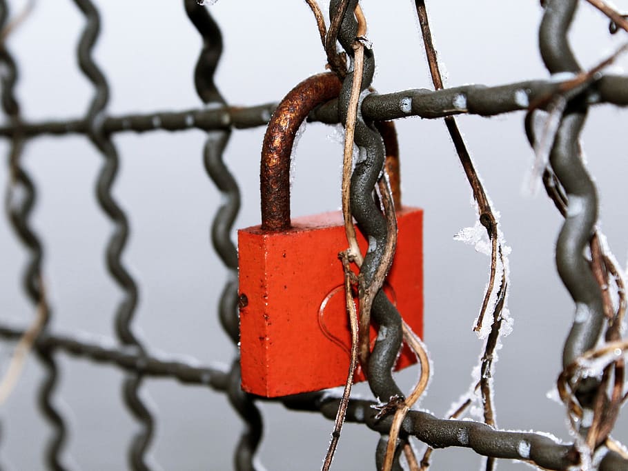 selective focus photo of red padlock, Castle, Red, Love, Fence