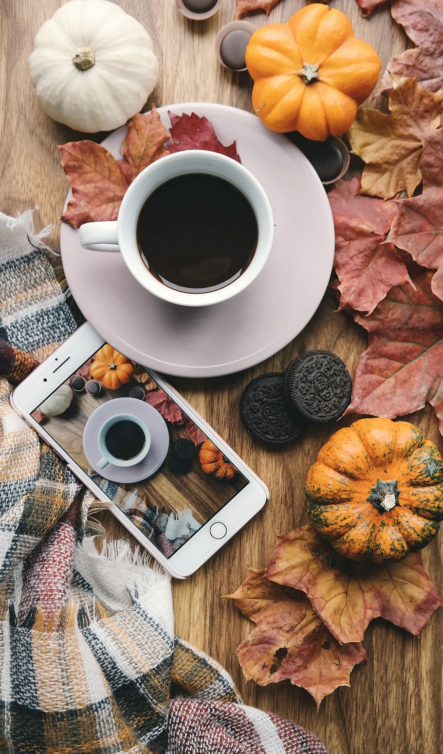 white ceramic mug on saucer, cup, coffee, phone, leaves, gourds, HD wallpaper