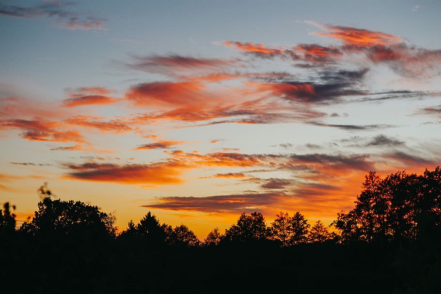 Sunset over the forest, nature, sky, trees, atmospheric, clouds HD wallpaper