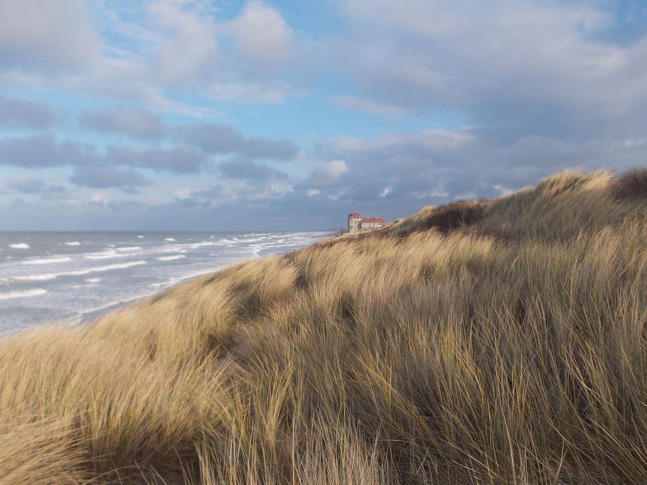 dunes, foredune, oyats, beach, bray-dunes, dune merchant, wind, HD wallpaper