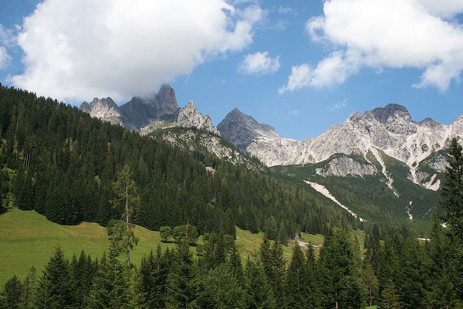 Austria, Pine, Mountain, Hill, Landscape, mountains, forest HD wallpaper