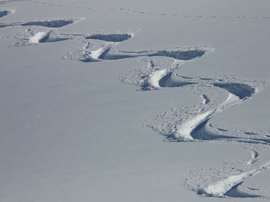 skiing, departure, wag, trace, curves, powder snow, wintry HD wallpaper