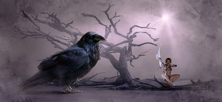 giant bird and a lady archer wallpaper, fantasy, crow, tree, arrow