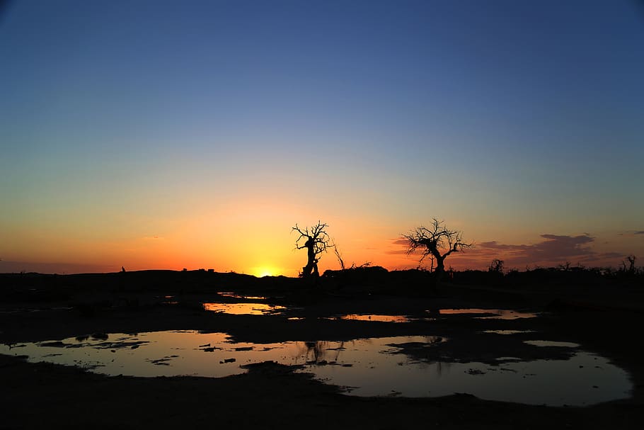 sun, sunset, at dusk, sky, water, silhouette, tranquility, scenics - nature HD wallpaper
