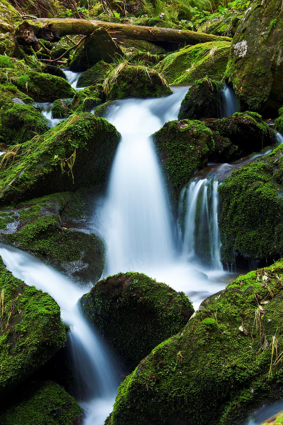 waterfalls on green rocks, creek, flow, flowing, forest, landscape HD wallpaper