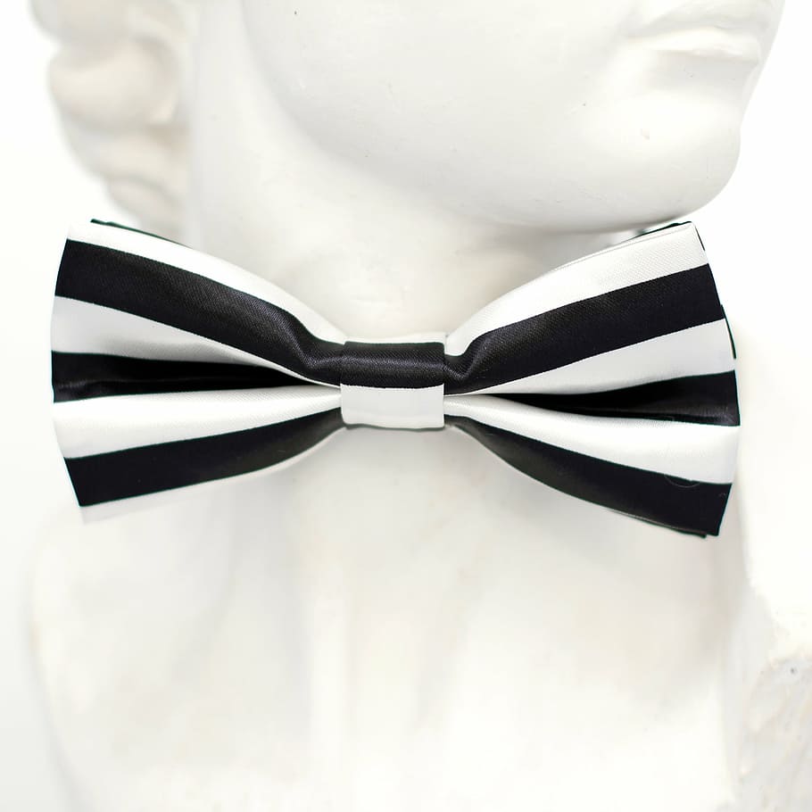 white and black striped bowtie, stripes, fly, loop, fashion HD wallpaper