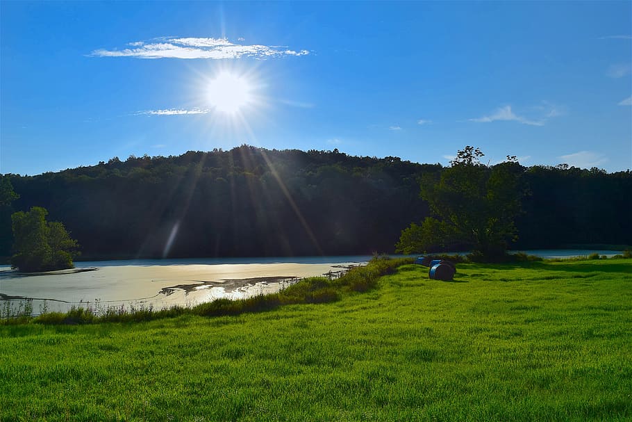field, pond, sunlight, grass, green, blue, sky, nature, summer HD wallpaper