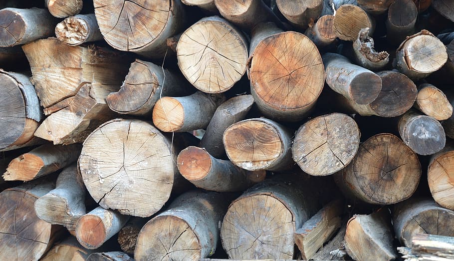 wood, forest, tree trunk, timber, log, wood - material, firewood HD wallpaper