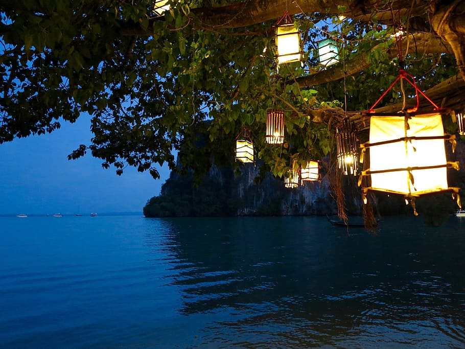 lit lanterns on tree branches, Lamp, Light Beam, lighting, night HD wallpaper