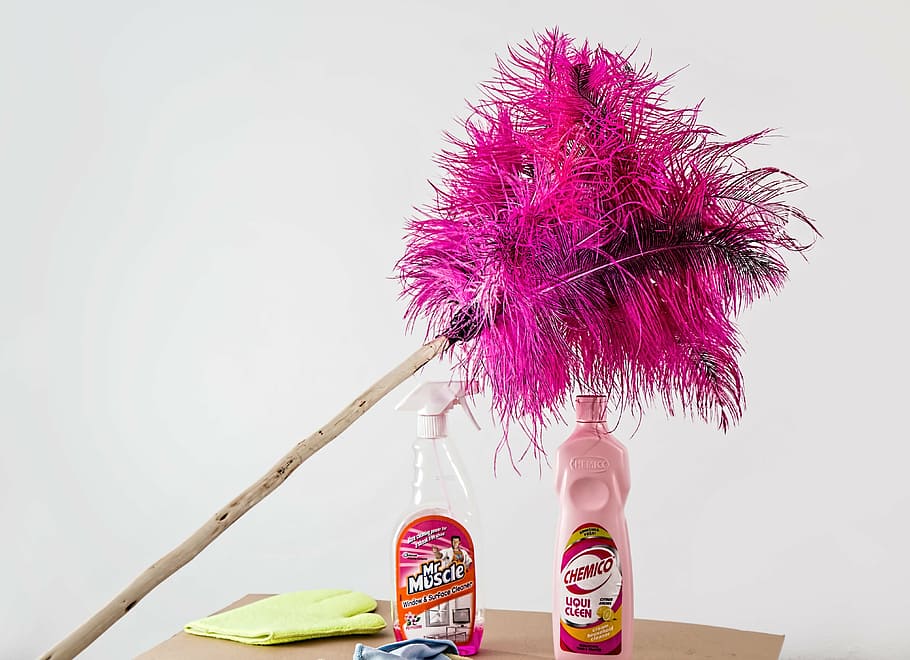 pink and black feather duster near spray bottle, cleaning, housework