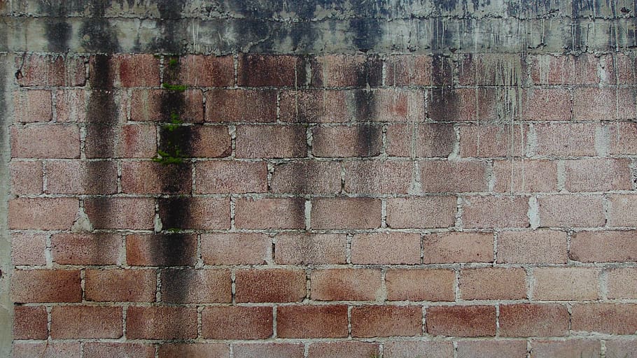 wall, stone, brick, cement, pattern, textures, moss, wet, water HD wallpaper