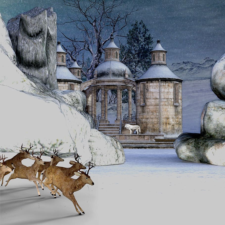 herd of brown deer on white ground in distance white wolf on beige concrete building painting HD wallpaper