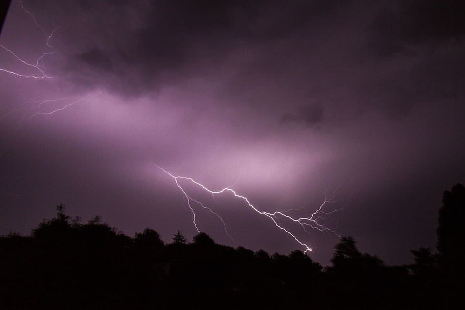 silhouette of trees with lightning, lightning during night time HD wallpaper