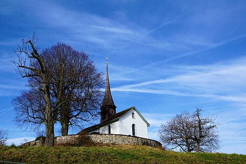 white and blouse church surrounded by green grass, sky, tree HD wallpaper