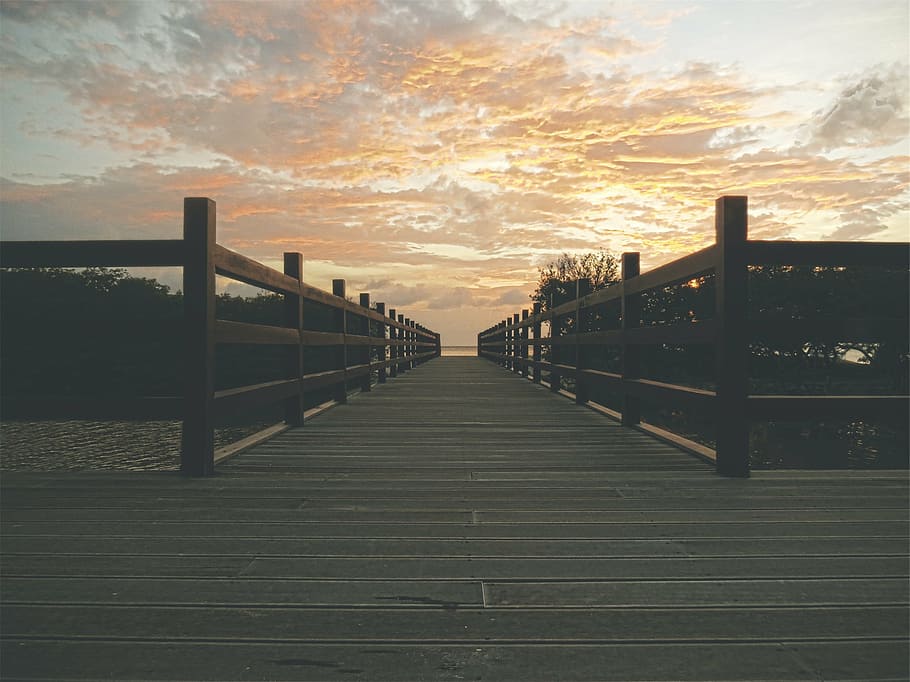wooden dock during golden hour, worm, s, eyeview, brown, sunset HD wallpaper