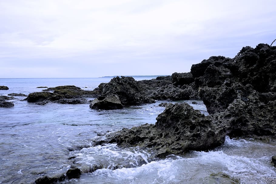 reef rock, taiwan, butyl 墾, centre for youth begins to, marine, HD wallpaper