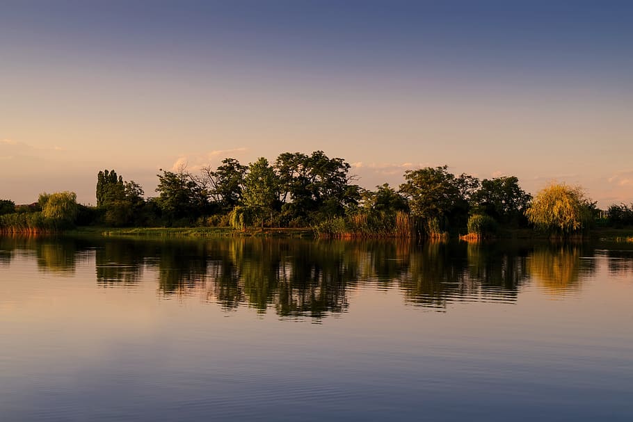 Sunset, Water, Reflection, Pond, lake, tree, silhouette, sky HD wallpaper