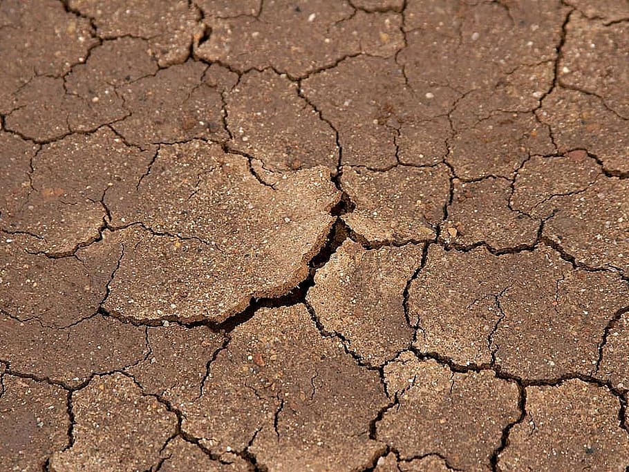 beach, mud, dried, cracked, ground, earth, landscapes, nature HD wallpaper