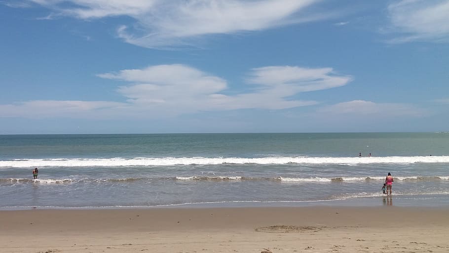Beach, Sea, Freedom, nature, sky, beauty in nature, scenics HD wallpaper