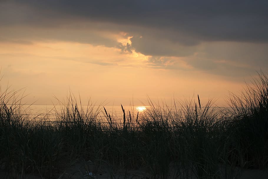 Sunset, Beach, summer, abendstimmung, dunes, north sea, nature HD wallpaper