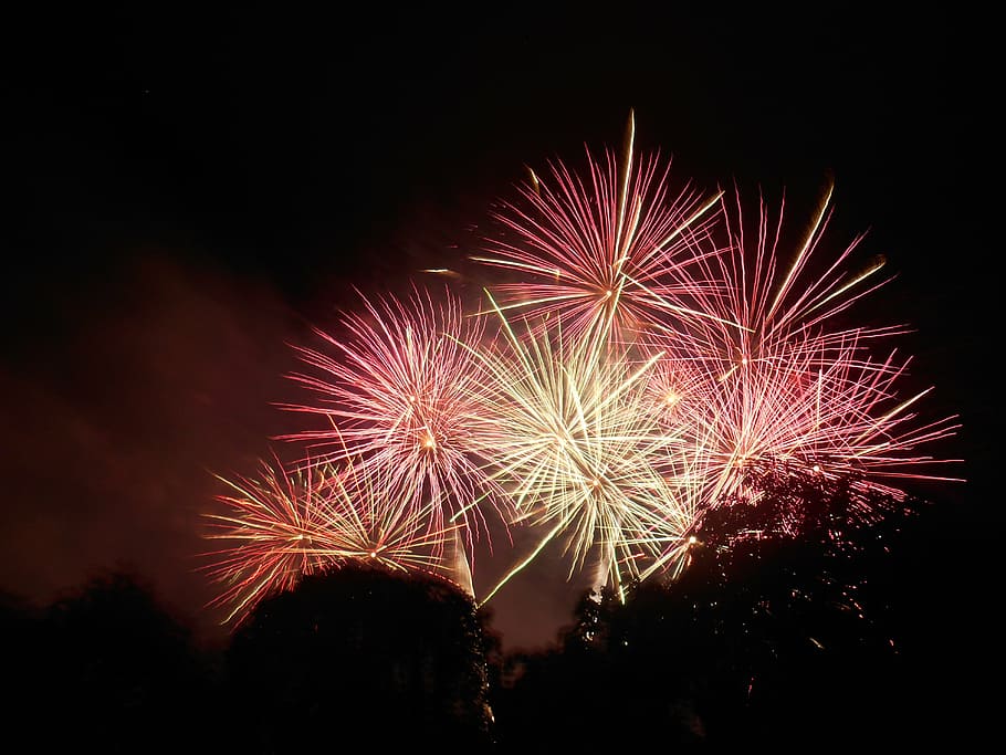 fireworks display, night, sky, celebration, new, years, explosion HD wallpaper