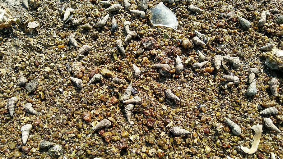nature, sand, dry, batch, little, land, no people, stone - object HD wallpaper