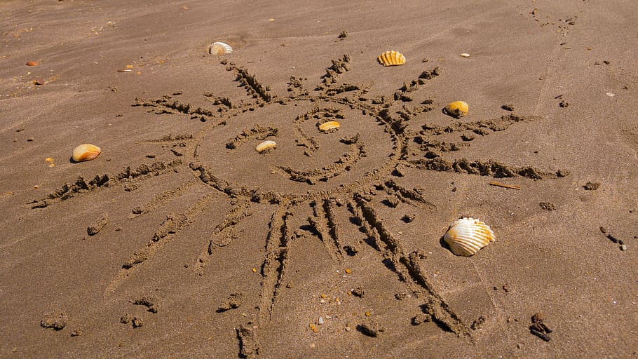 brown beach sand, sun, graphics, shells, no people, day, nature HD wallpaper