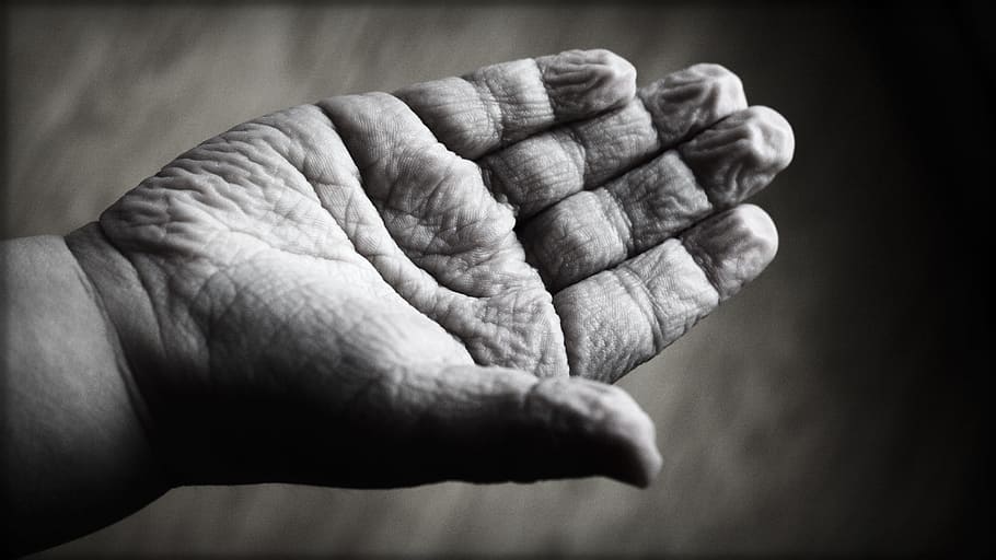 right human palm in grayscale photography, children, hand, creasy HD wallpaper