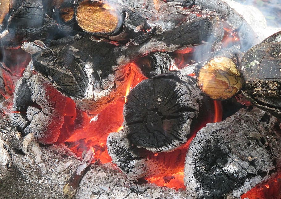 koster, fire, flame, coals, firewood, burns, bonfire, fever HD wallpaper