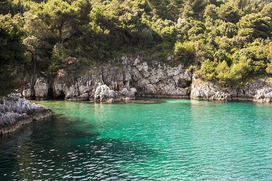 water, lake, spring, blue, nature, mountain, landscape, trees HD wallpaper